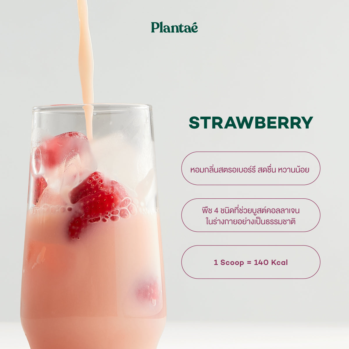 Complete Plant Protein - Strawberry