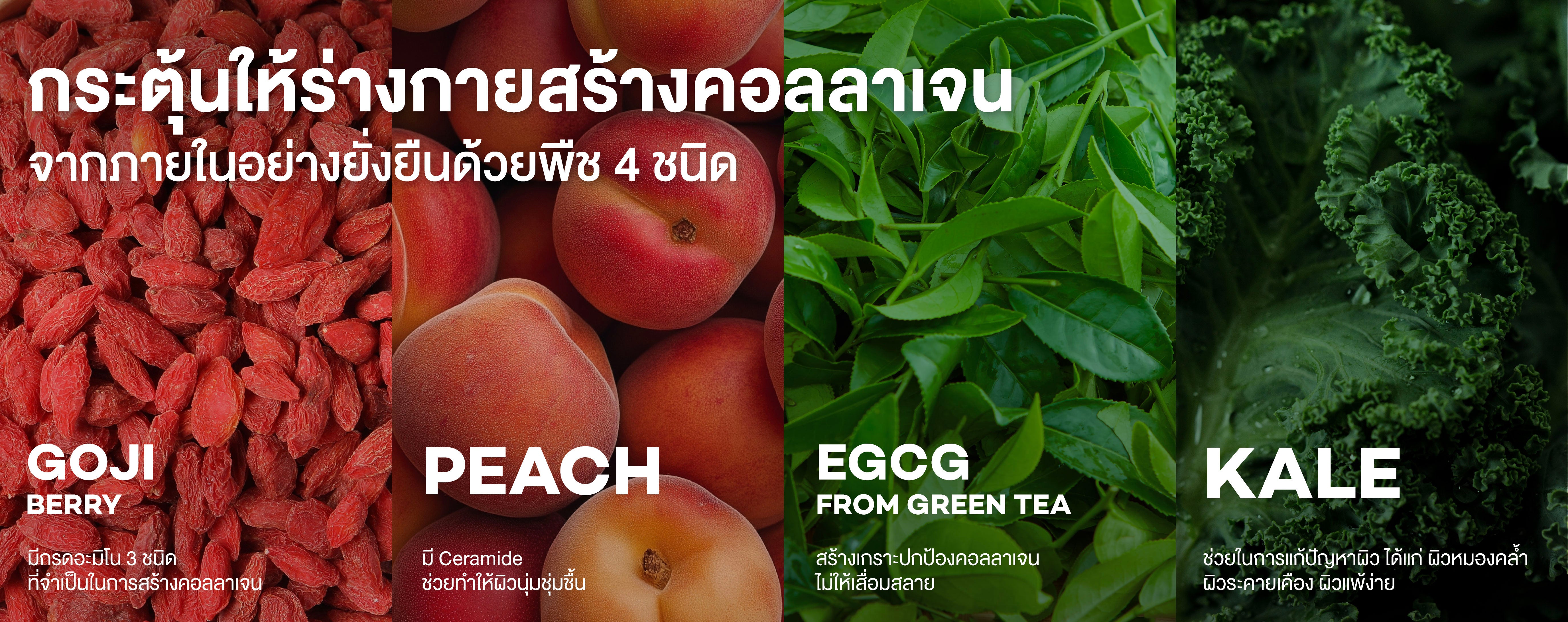 Information 4