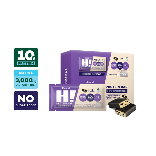 Hi Protein Bar - Blueberry Cheesecake