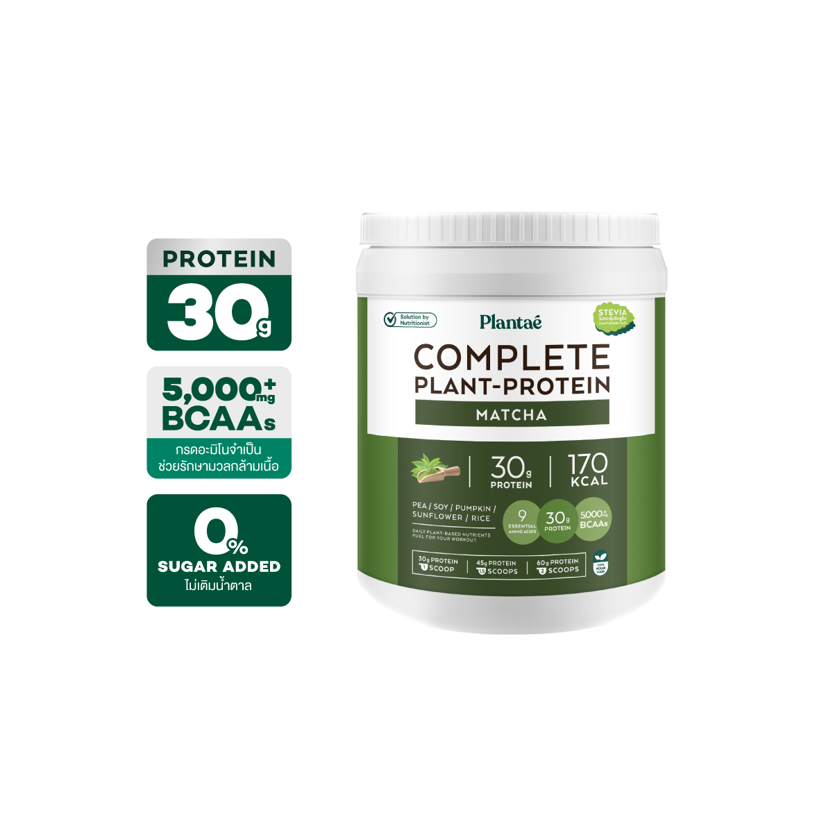 Complete Plant Protein - Matcha