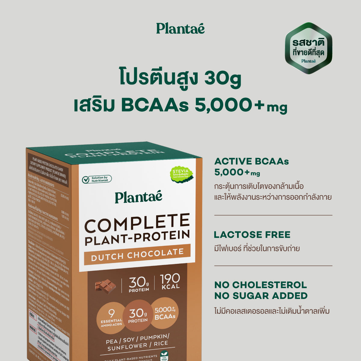 Complete Plant Protein - Dutch Chocolate (Box)