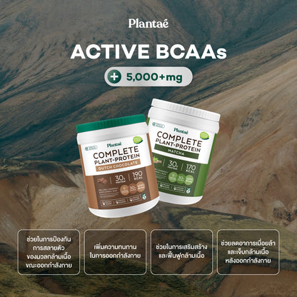Complete Plant Protein - Dutch Chocolate (Box)