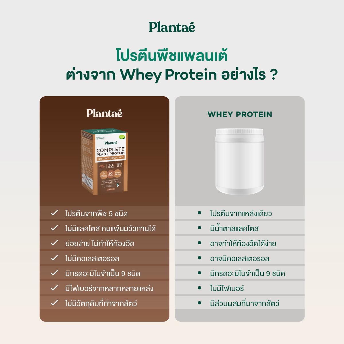 Complete Plant Protein - Dutch Chocolate (Box)