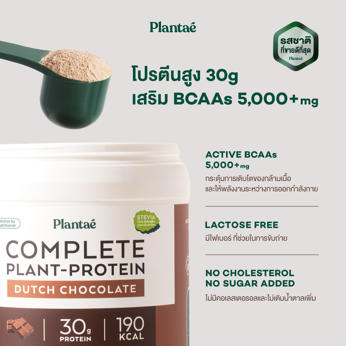 Complete Plant Protein - Dutch Chocolate