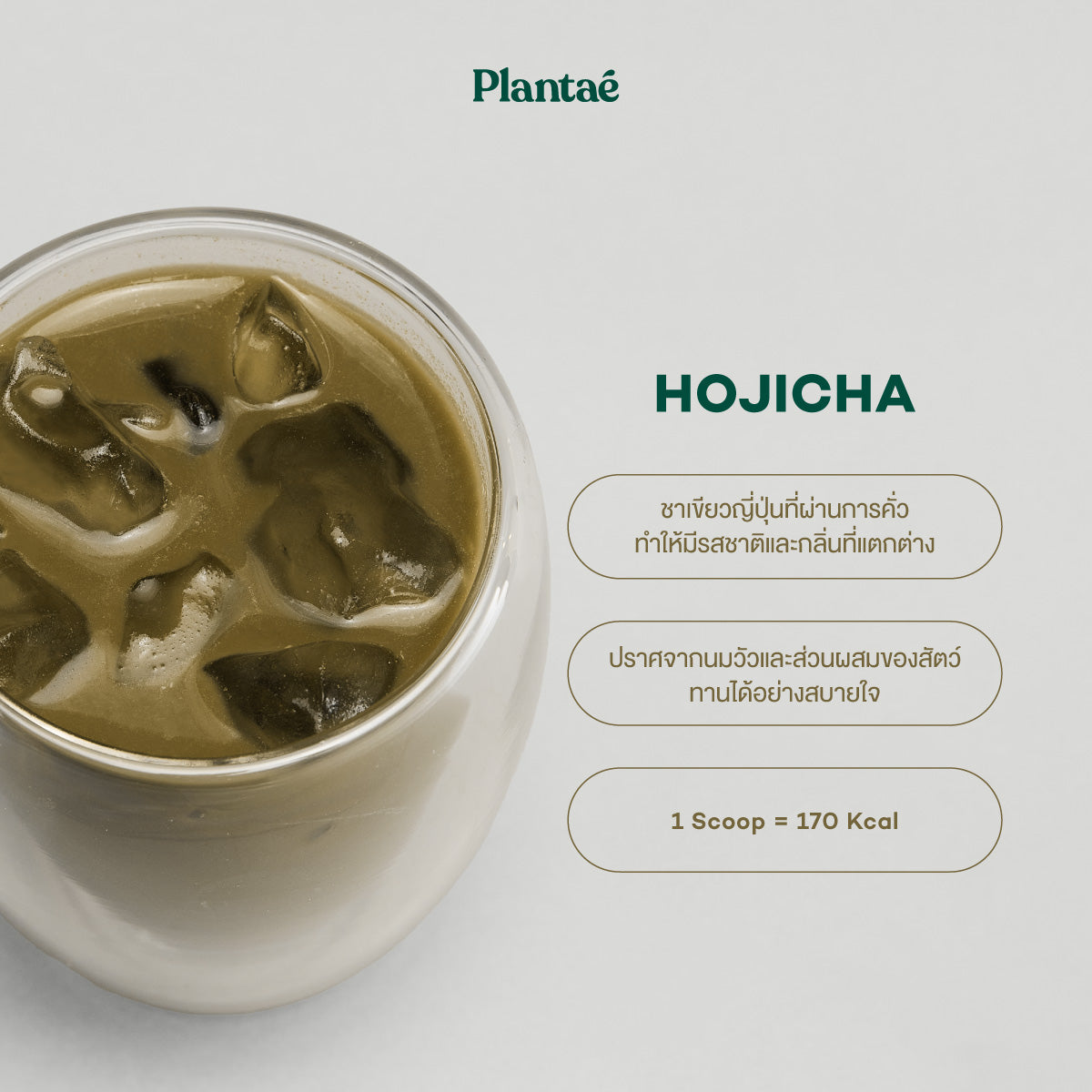 (Seasonal Price) Complete Plant Protein - Hojicha