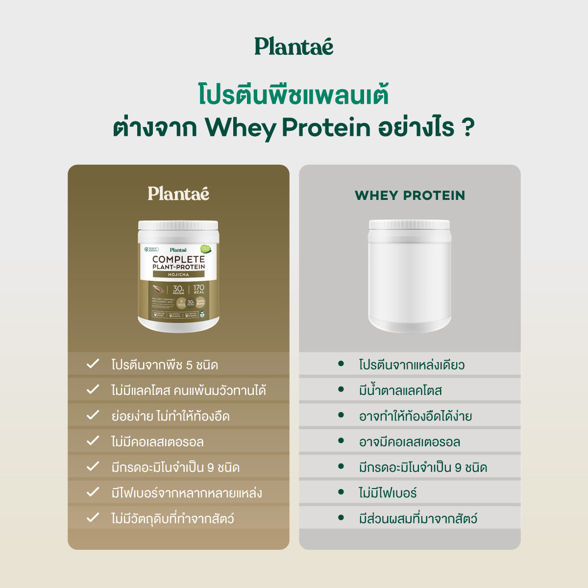 (Seasonal Price) Complete Plant Protein - Hojicha