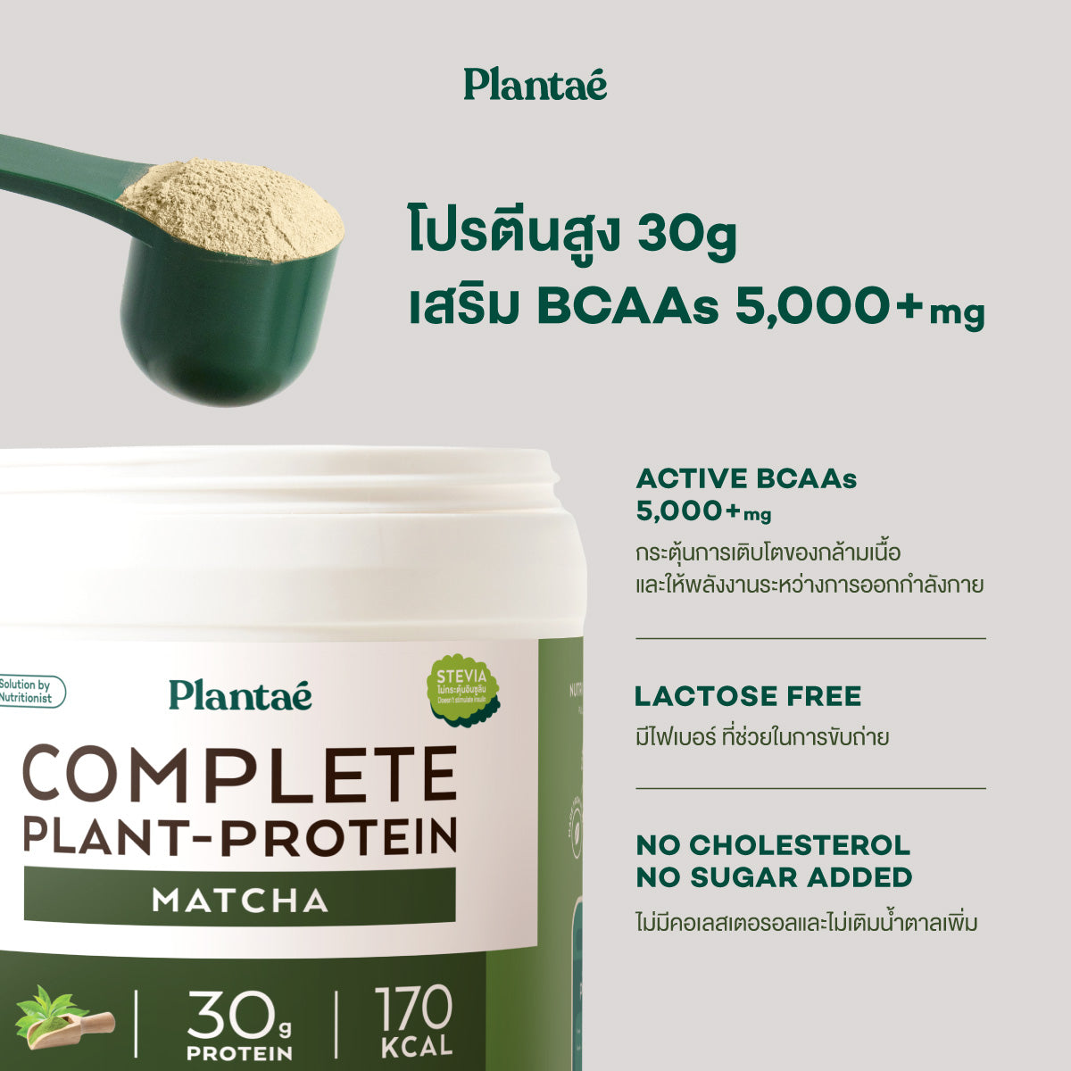 Complete Plant Protein - Matcha