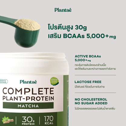 Complete Plant Protein - Matcha