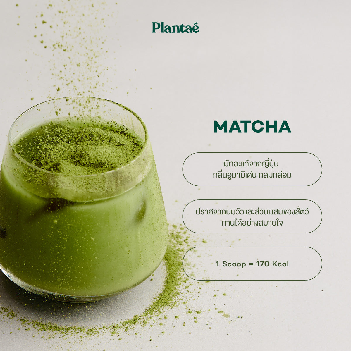 Complete Plant Protein - Matcha