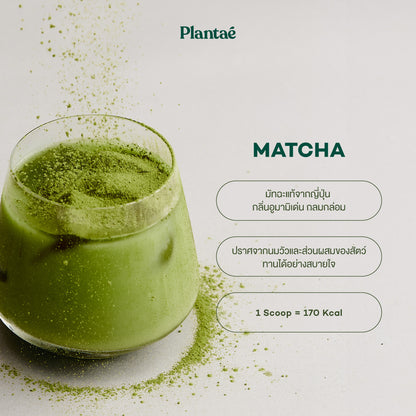 Complete Plant Protein - Matcha