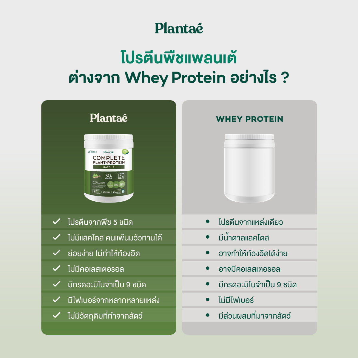 Complete Plant Protein - Matcha