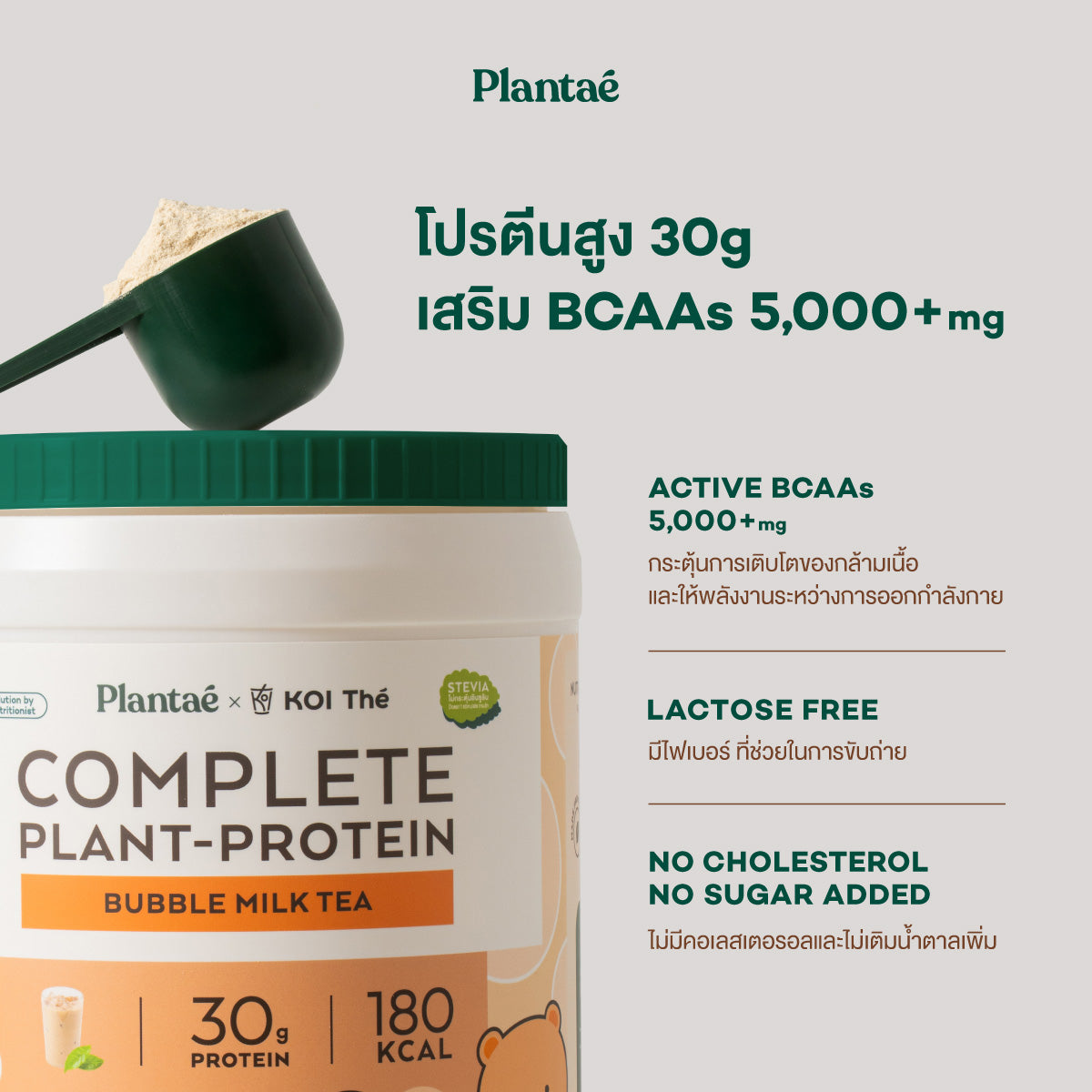Complete Plant Protein - Bubble Milk Tea