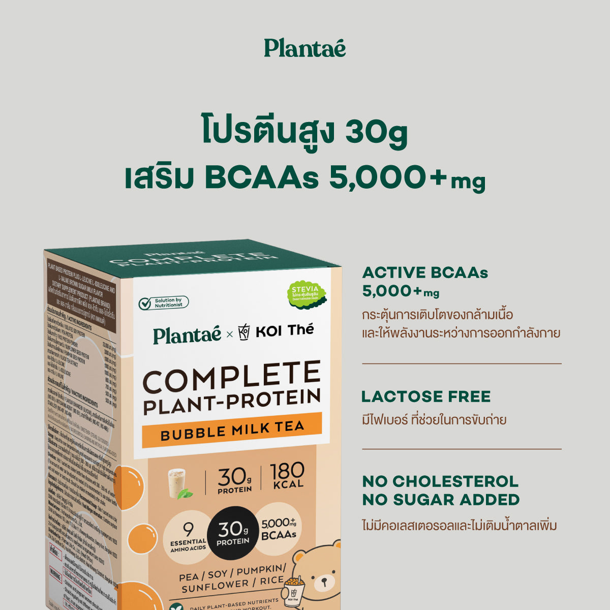 Complete Plant Protein - Bubble Milk Tea (Box)