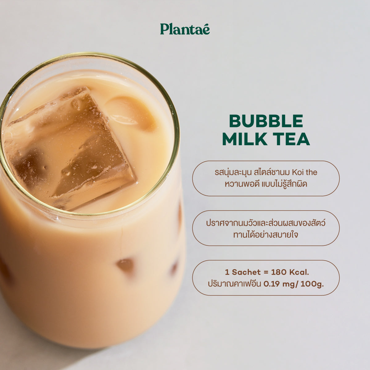 Complete Plant Protein - Bubble Milk Tea (Box)