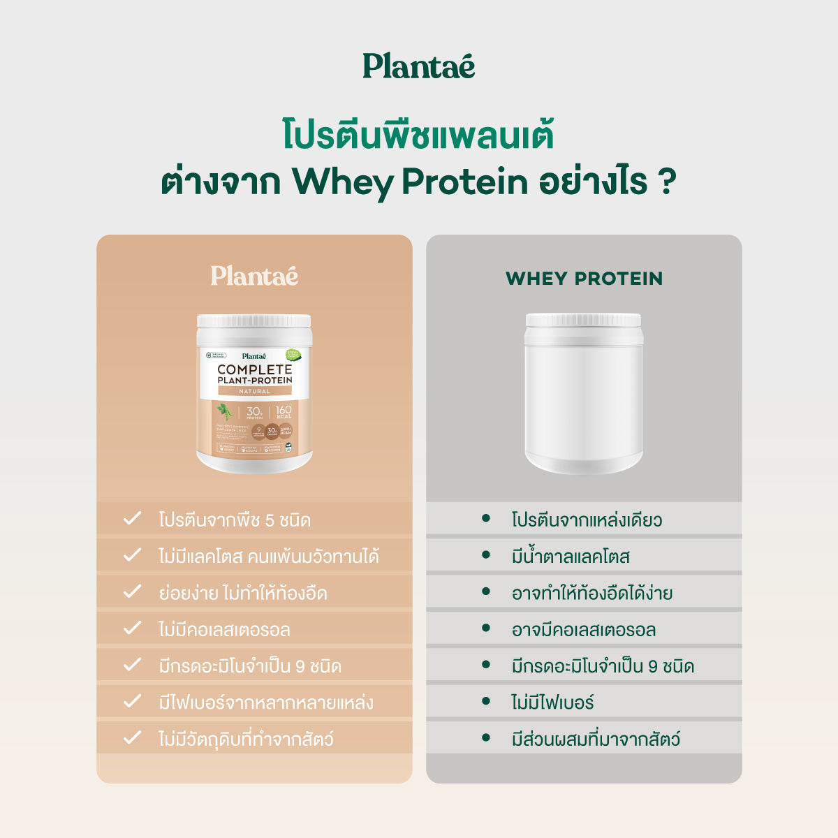Complete Plant Protein - Natural