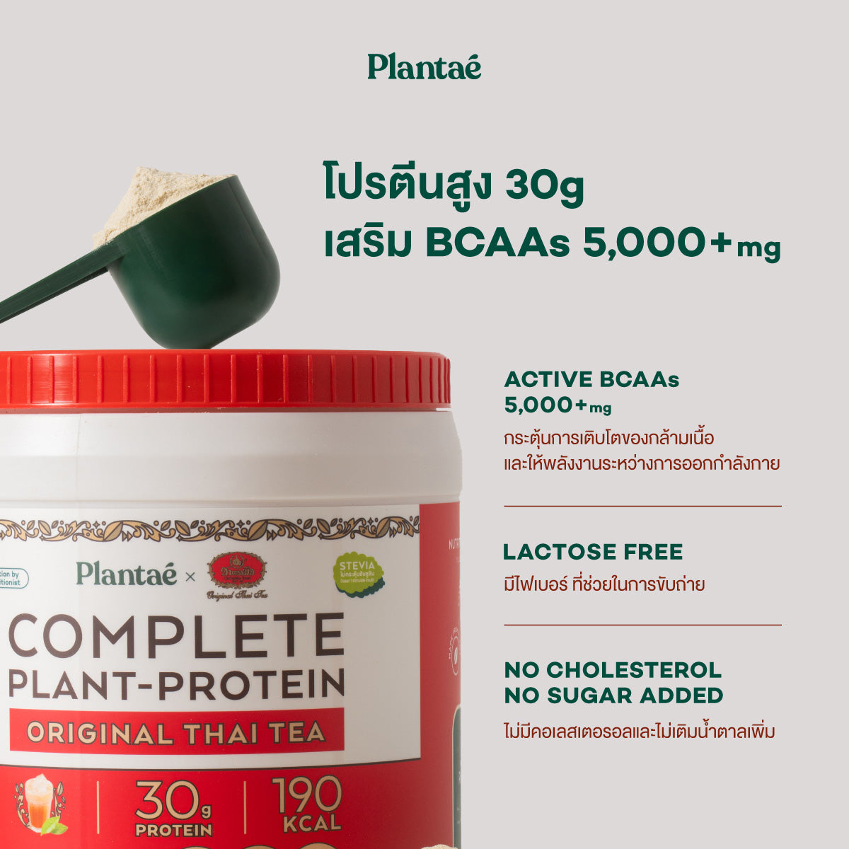 (Seasonal Price) Complete Plant Protein - Original Thai Tea