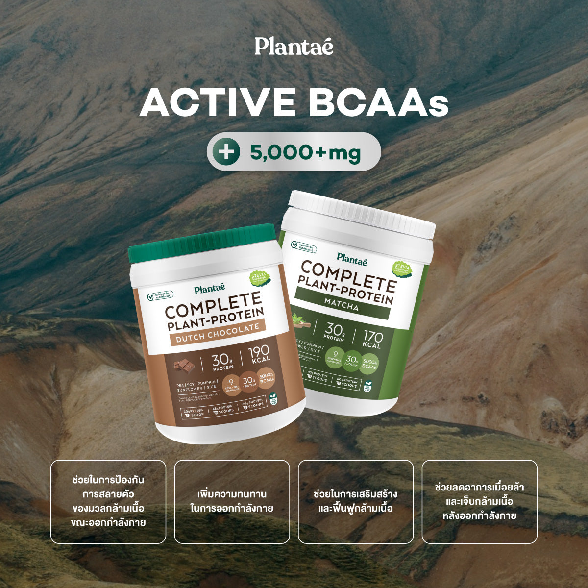 (Seasonal Price) Complete Plant Protein - Original Thai Tea