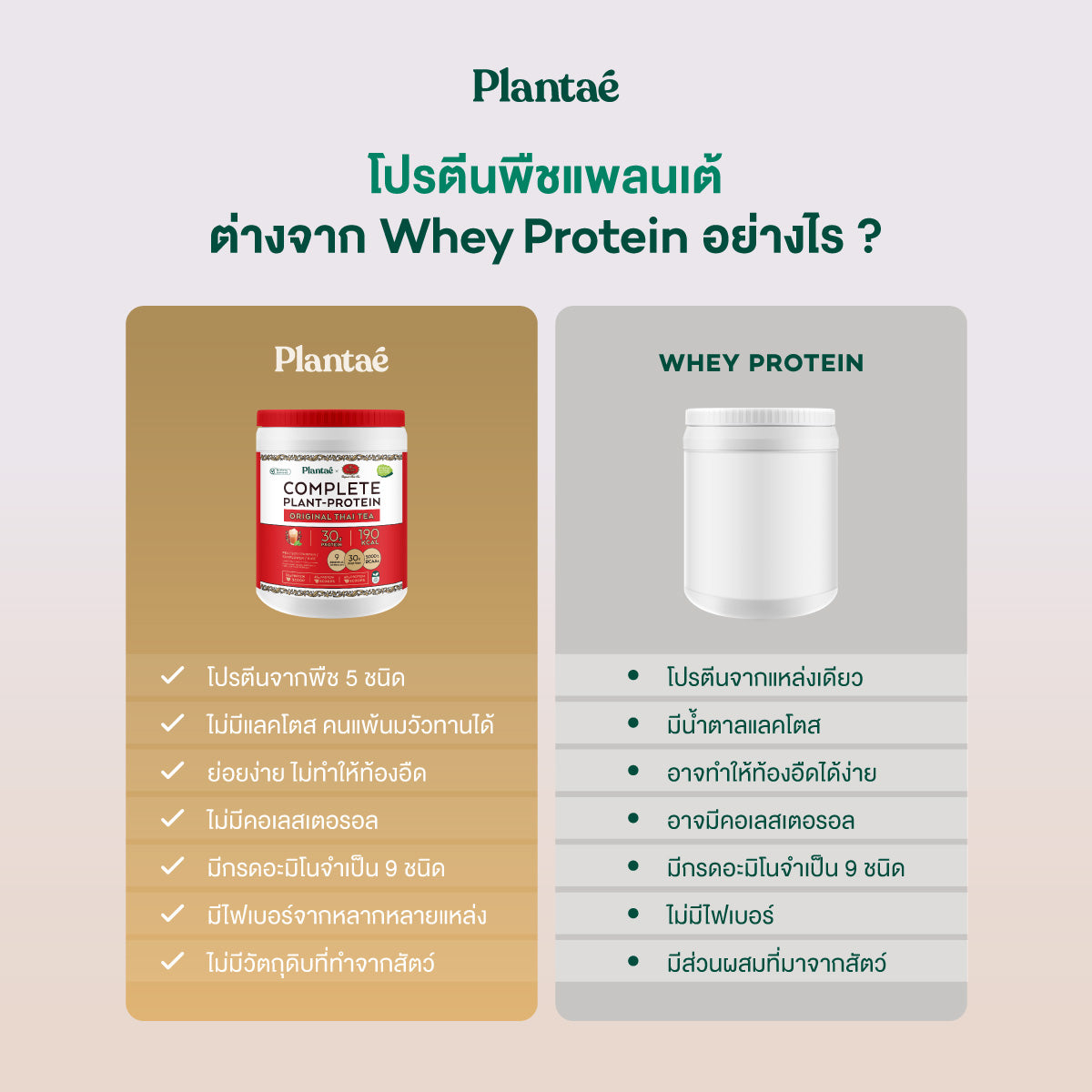 (Seasonal Price) Complete Plant Protein - Original Thai Tea