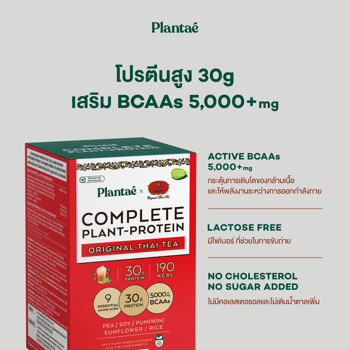 Complete Plant Protein - Original Thai Tea (Box)