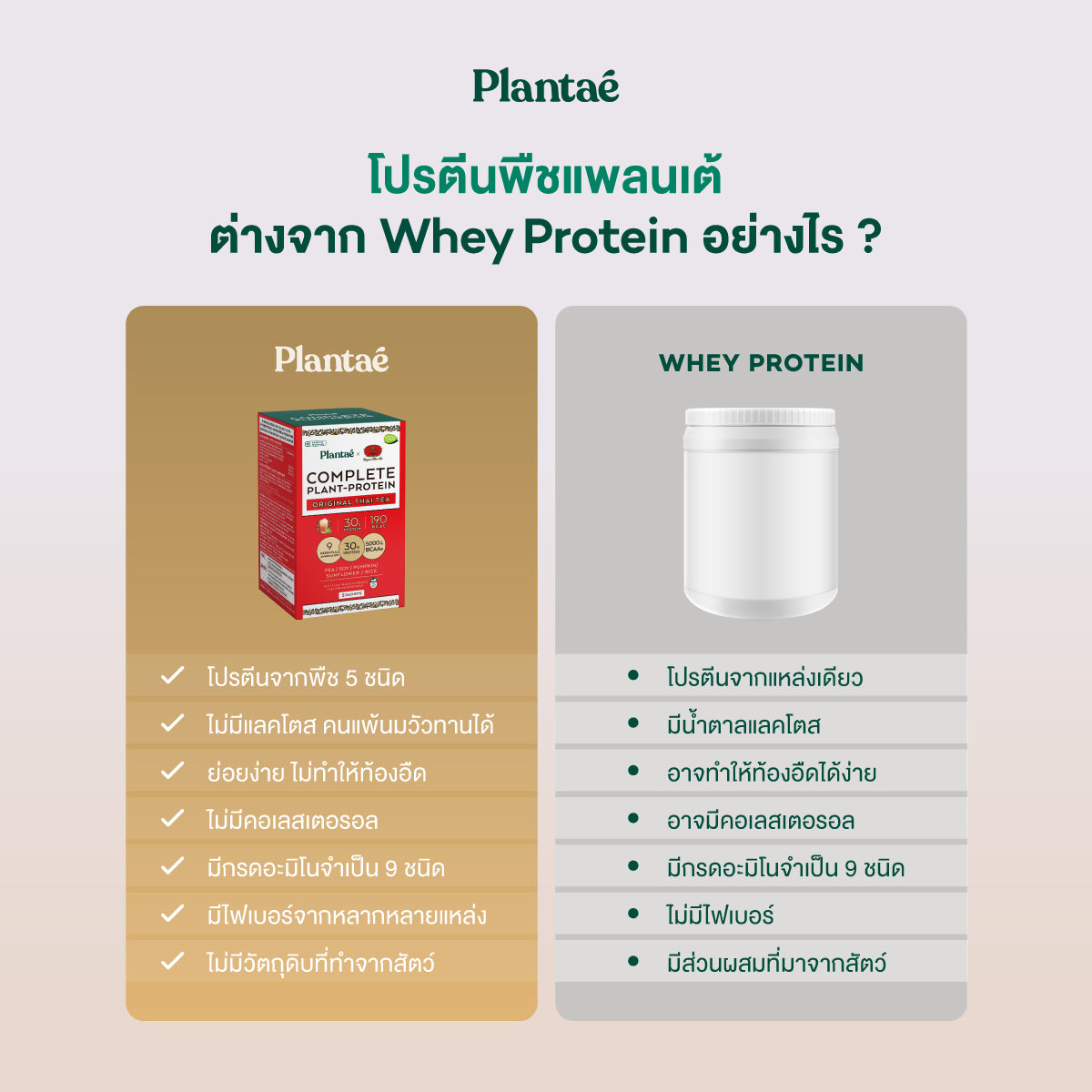 Complete Plant Protein - Original Thai Tea (Box)