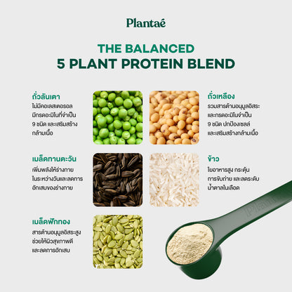 Complete Plant Protein - Original Thai Tea (Box)