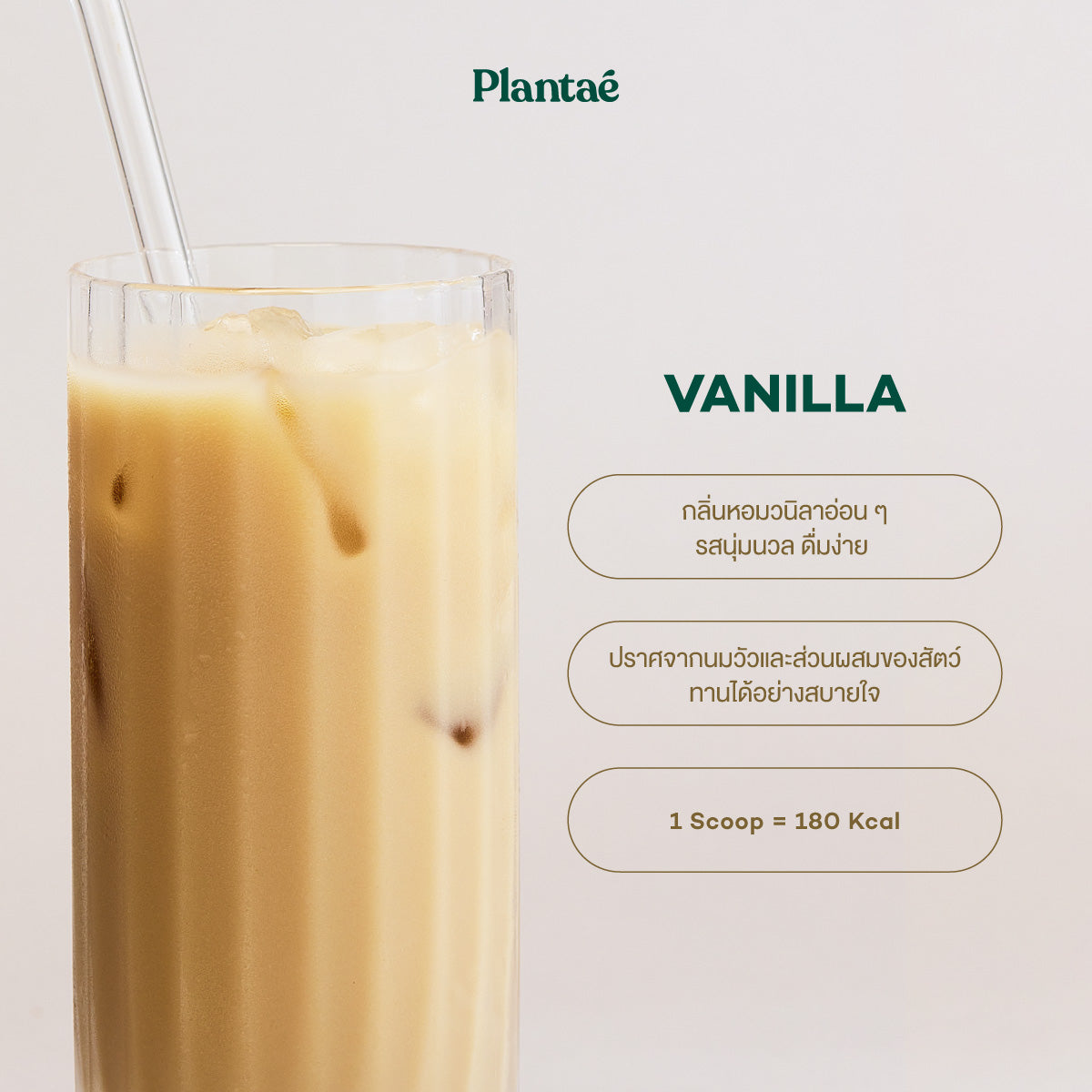 Complete Plant Protein - Vanilla