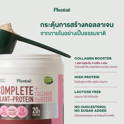 Complete Plant Protein - Strawberry