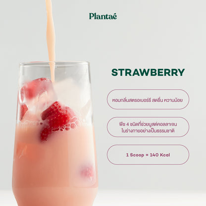 Complete Plant Protein - Strawberry
