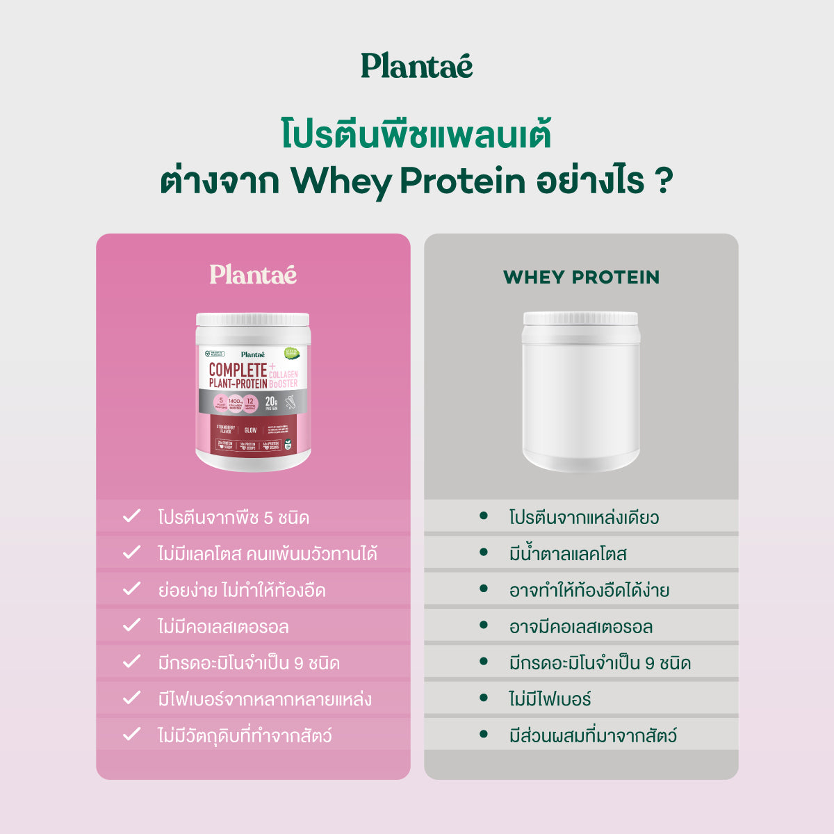 Complete Plant Protein - Strawberry