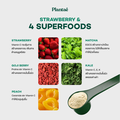 Complete Plant Protein - Strawberry
