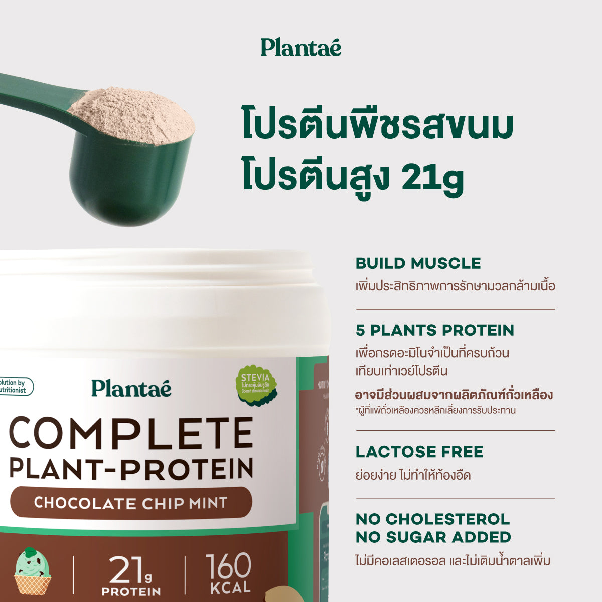 Complete Plant Protein - Chocolate Chip Mint