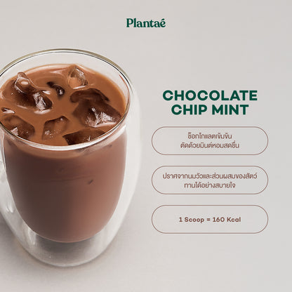 Complete Plant Protein - Chocolate Chip Mint