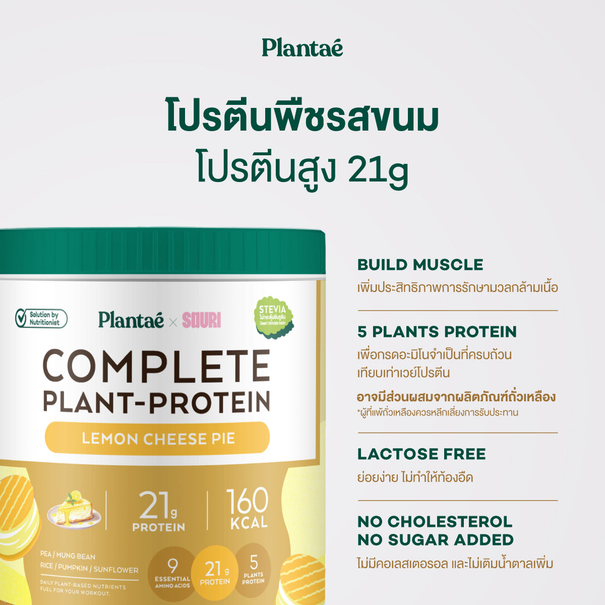 Complete Plant Protein - Lemon Cheese Pie