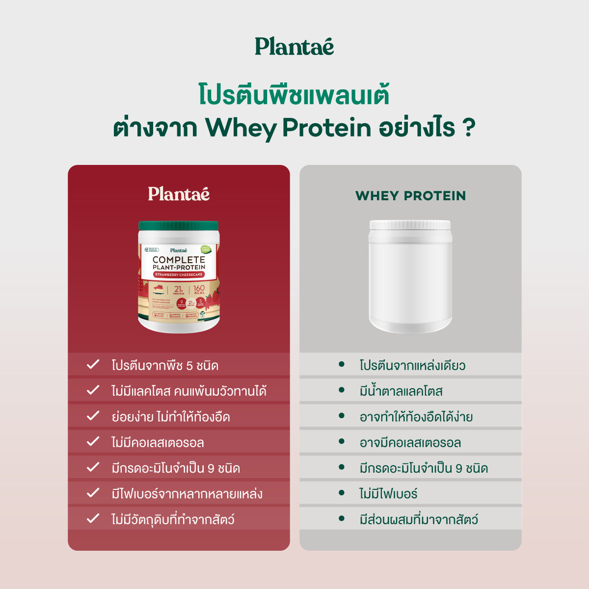 Complete Plant Protein - Strawberry Cheesecake