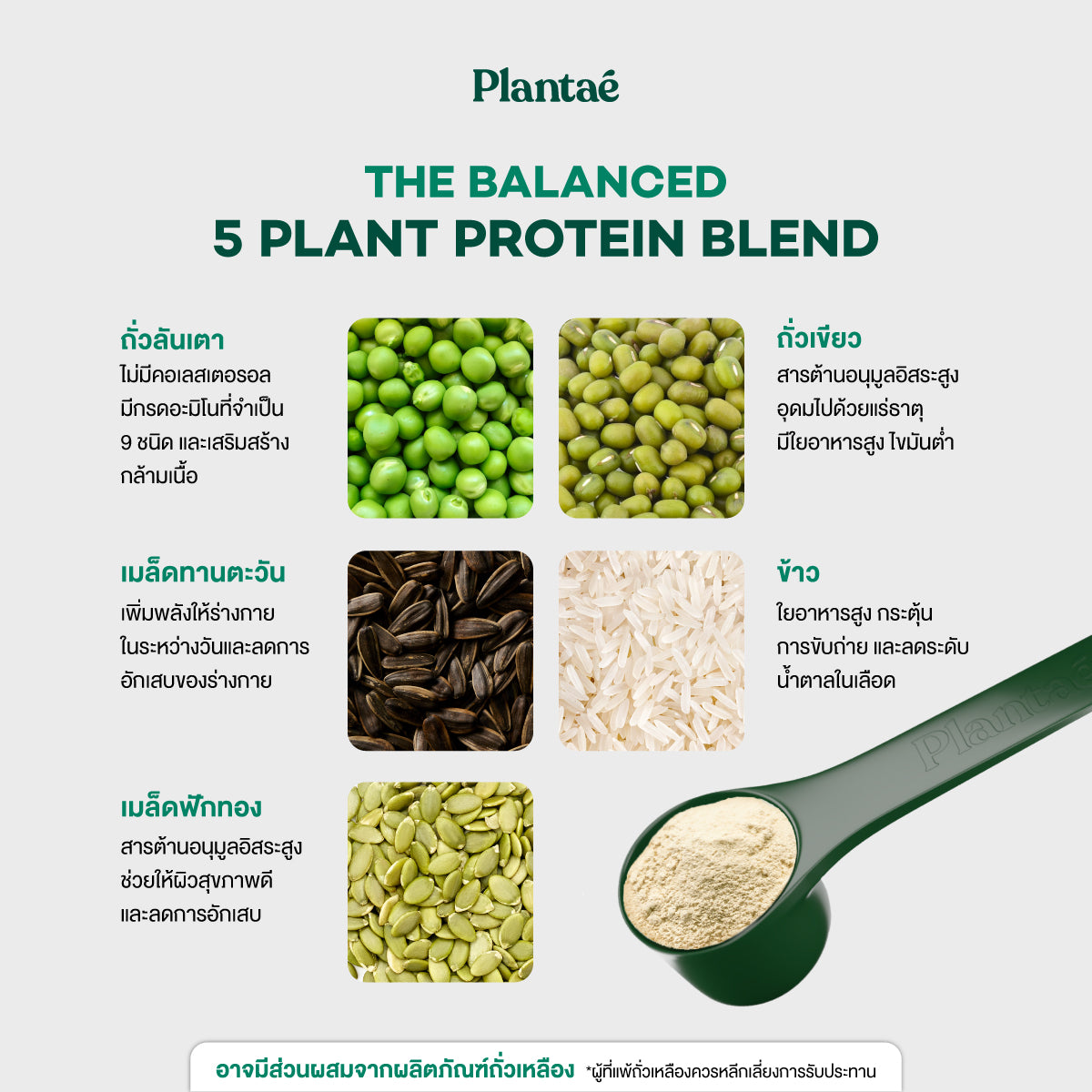 Complete Plant Protein - Strawberry Cheesecake