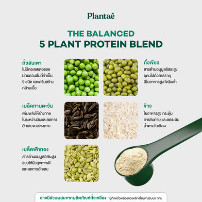 Complete Plant Protein - Strawberry Cheesecake