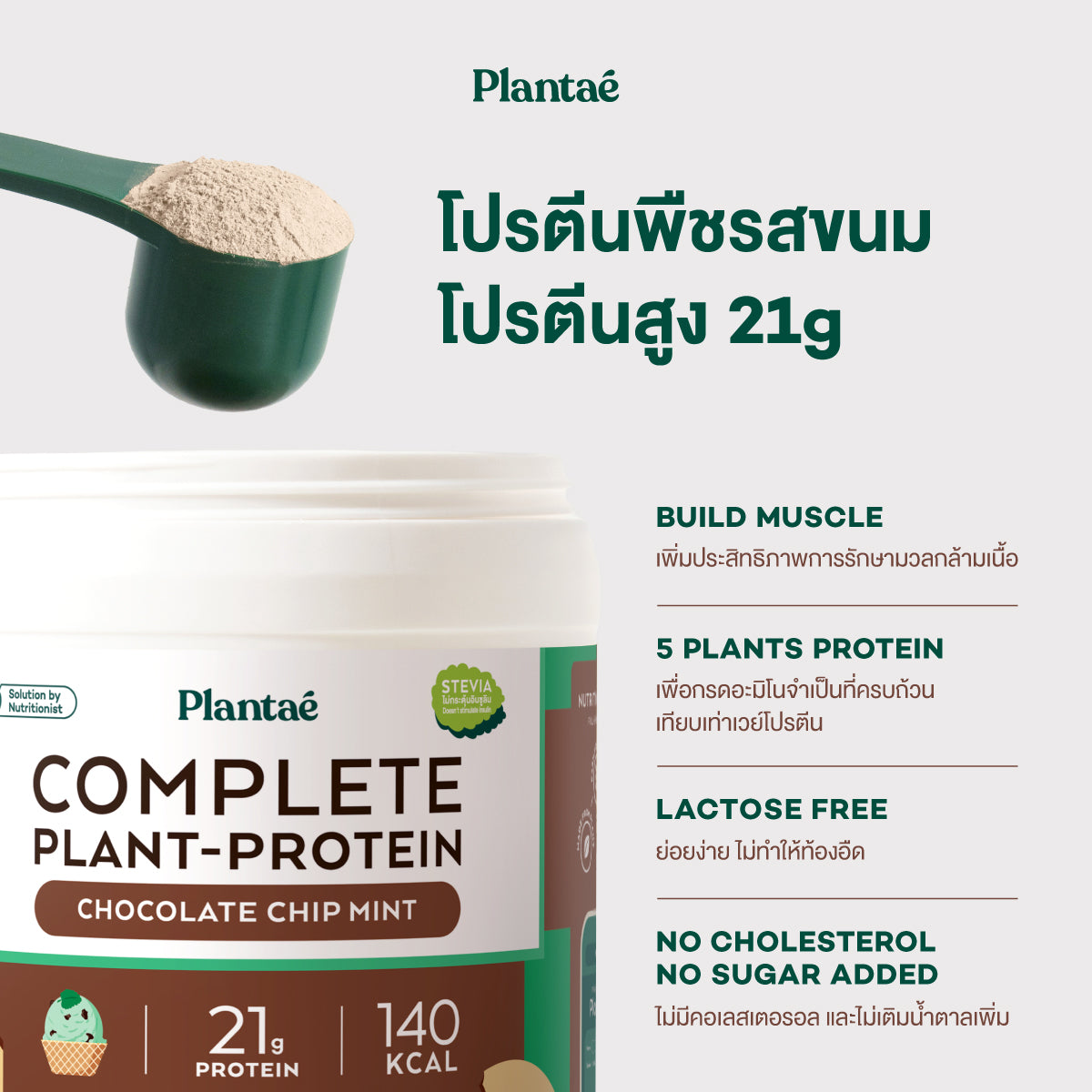 (Seasonal Price) Complete Plant Protein - Chocolate Chip Mint