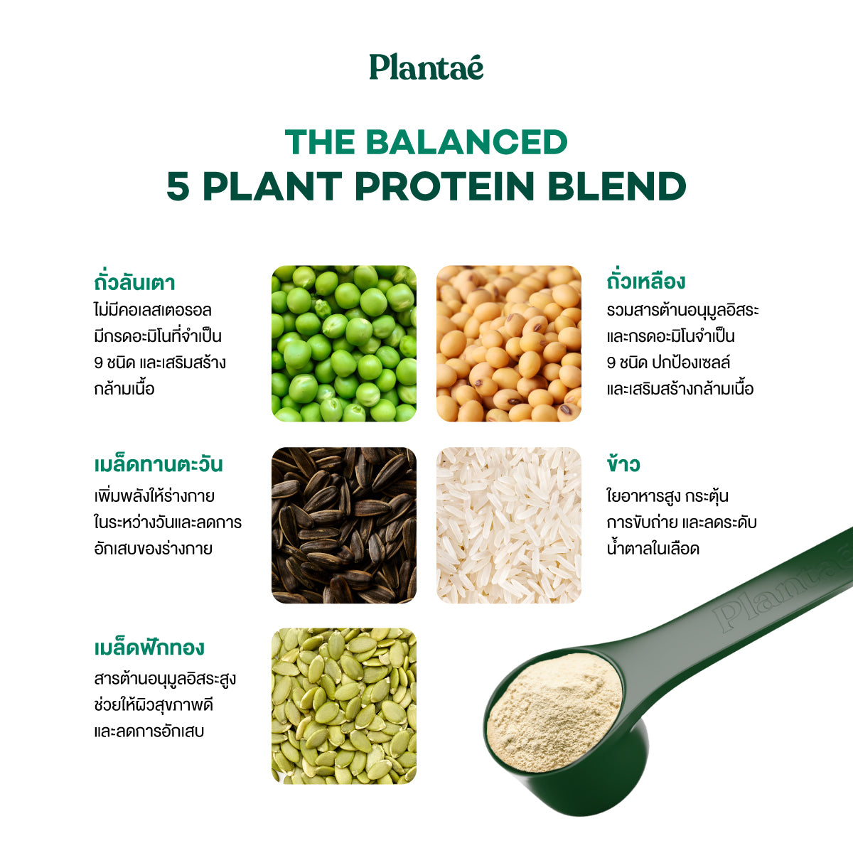 Complete Plant Protein - Pistachio Chocolate