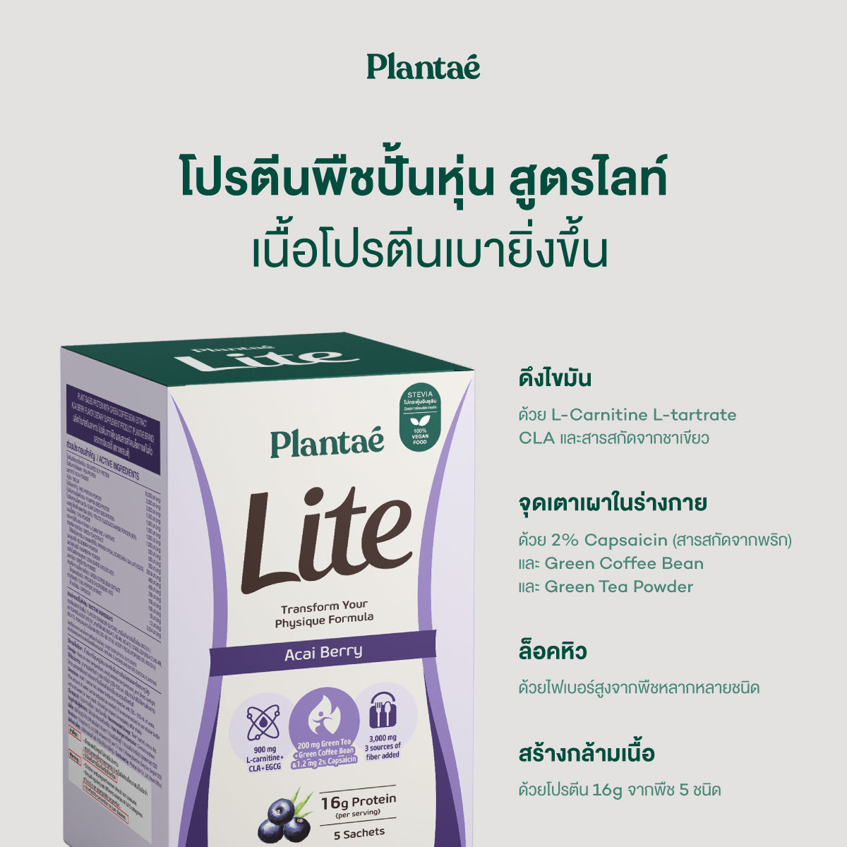 Lite Protein - Acai Berry (Box)