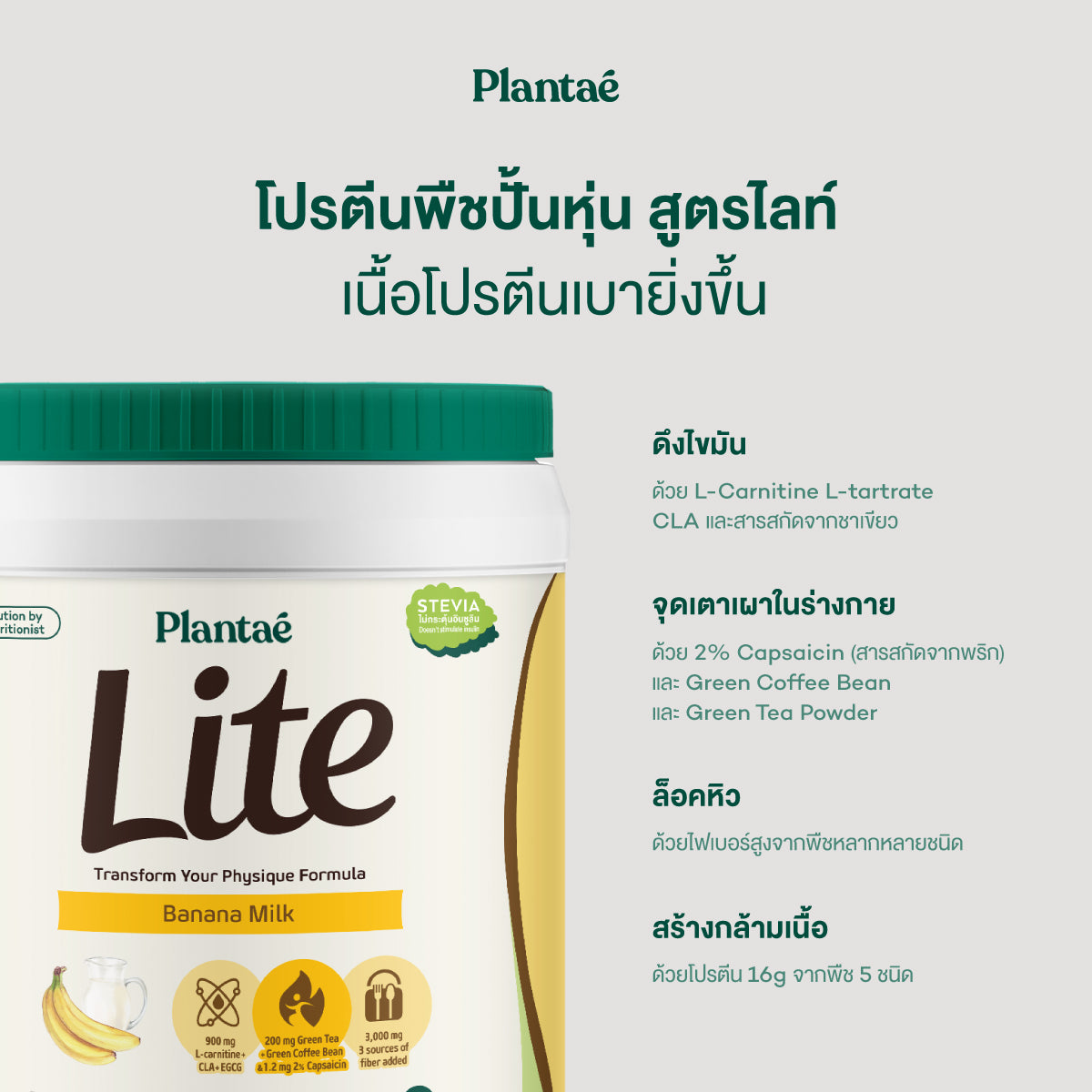 Lite Protein - Banana Milk
