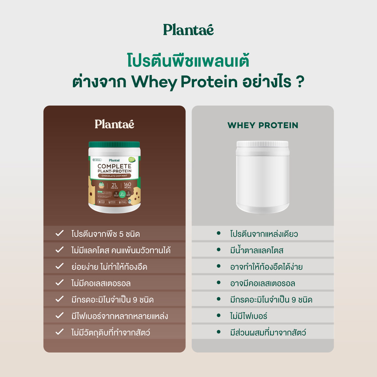 Complete Plant Protein - Chocolate Chip Mint