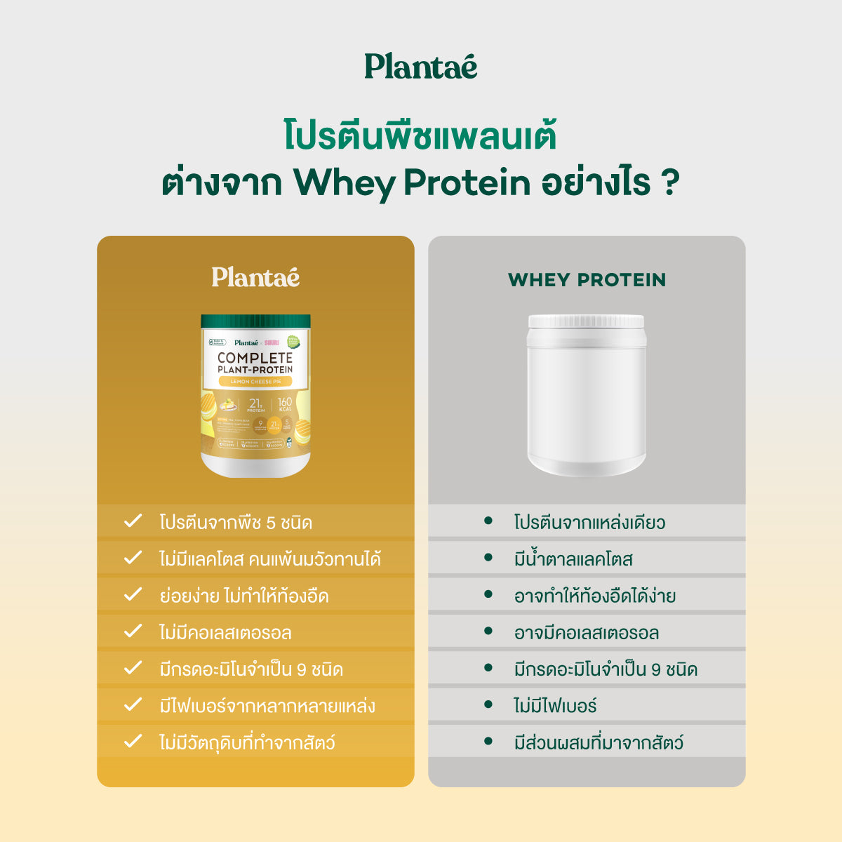 Complete Plant Protein - Lemon Cheese Pie