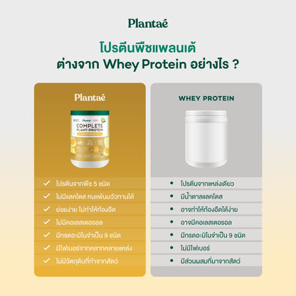 Complete Plant Protein - Lemon Cheese Pie