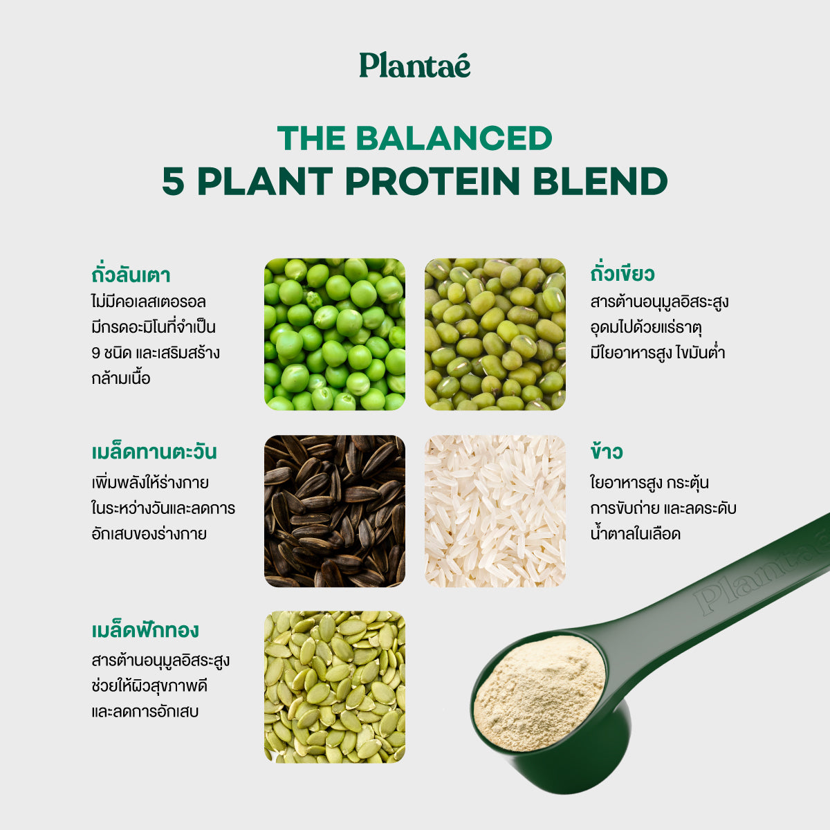 Complete Plant Protein - Tiramisu