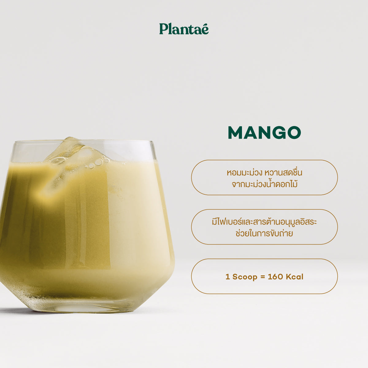 Complete Plant Protein - Mango