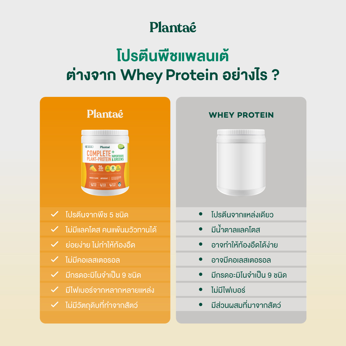Complete Plant Protein - Mango