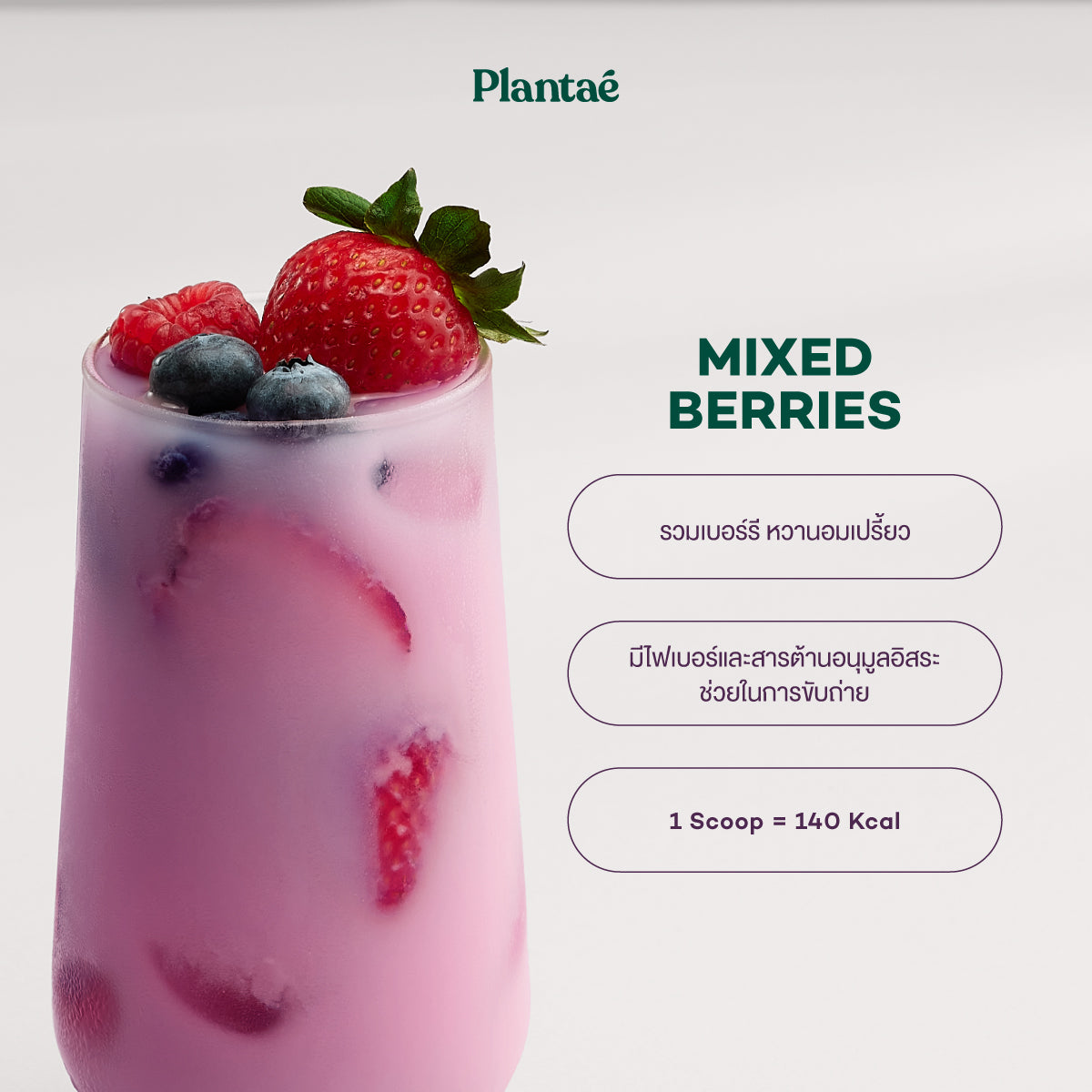 Complete Plant Protein - Mixed Berries