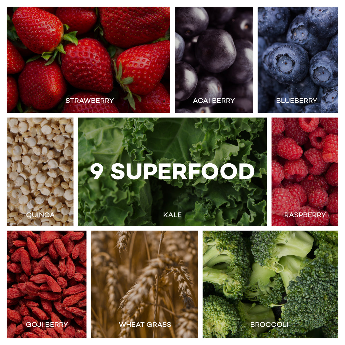 Complete Plant Protein - Mixed Berries