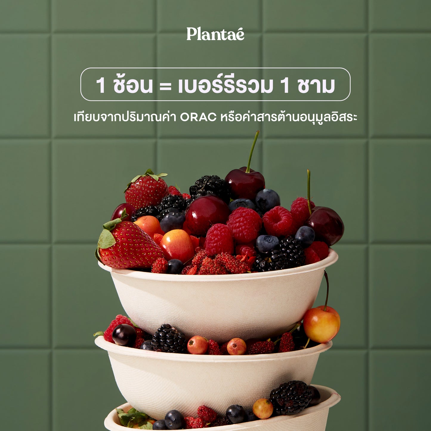 Whole Food Complex Powder - Complete Antioxidant (Box)