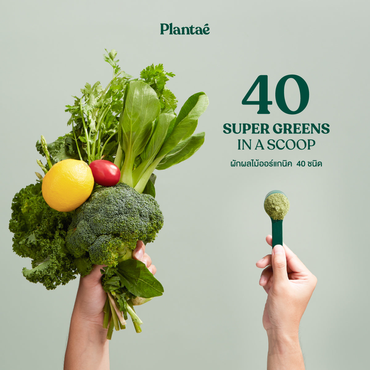 Whole Food Complex Powder - Complete Green